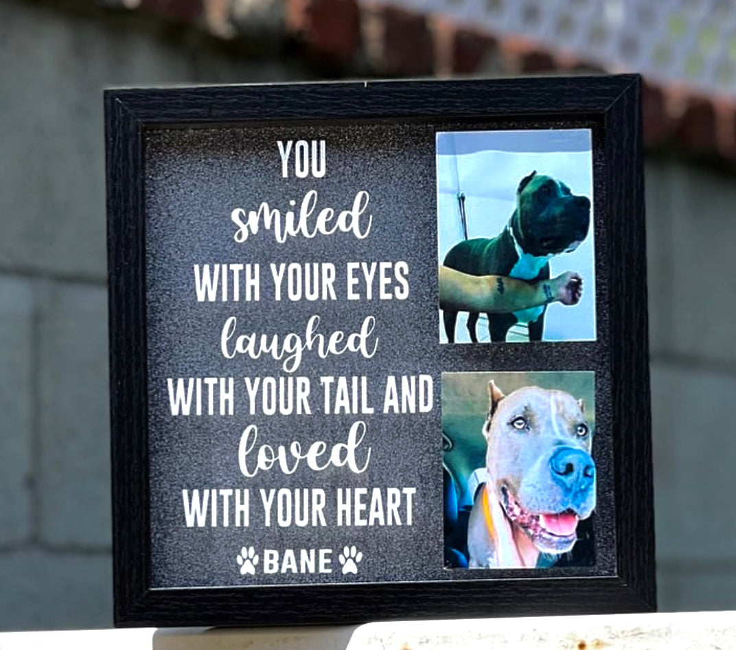 Pet Memorial Shadow Box