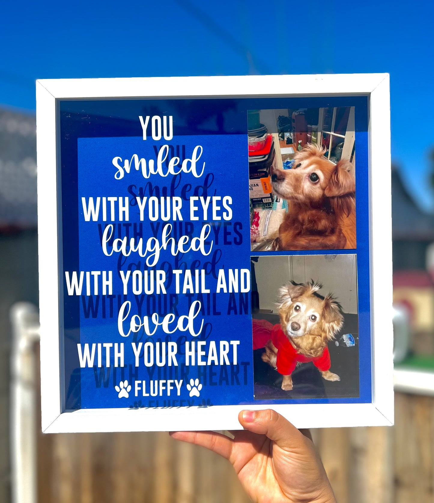 Pet Memorial Shadow Box